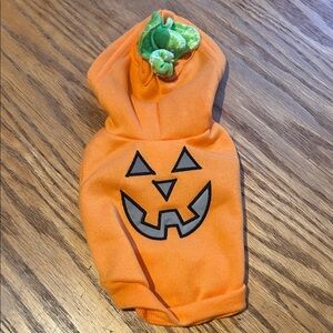 Pets Pumpkin Costume - Orange